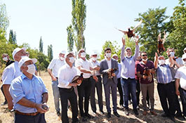Kene ile mücadele için yetiştirilen keklik ve sülünler doğaya bırakıldı