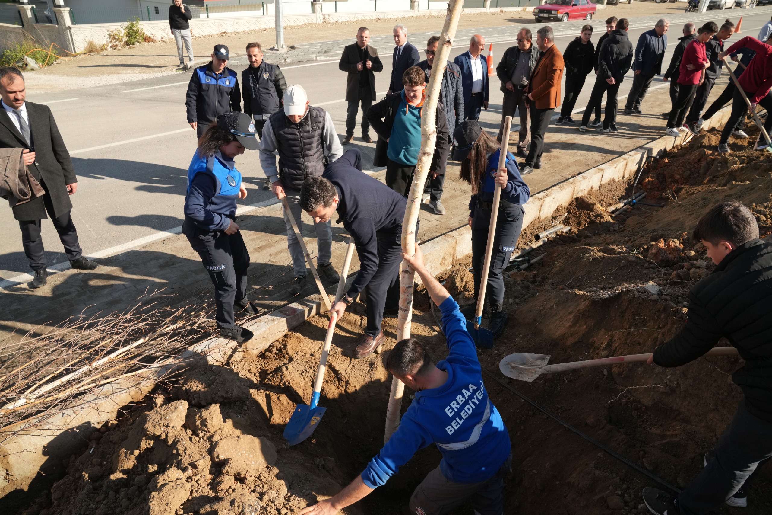 Erbaa’da ağaçlandırma çalışmaları devam ediyor.