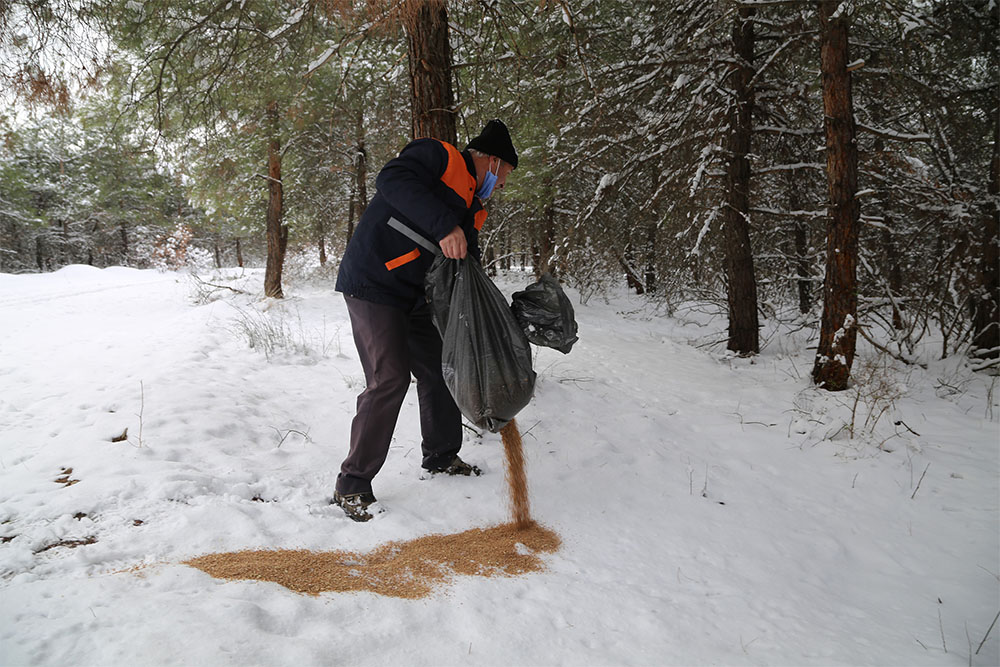 Belediyemizden Yaban Hayata Destek